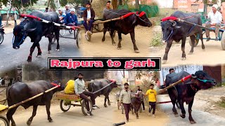 Rajpura to garh first Ravi Rajpura [upl. by Ahsuatal]