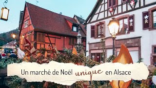 ➳ Découvre un marché de Noël unique en Alsace  Retour à lépoque médiévale garanti [upl. by Nitsugua]