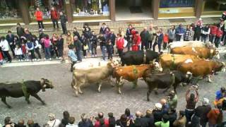 A Primiero Trentino la Festa del Desmontegar [upl. by Vadim]