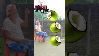 Rounding cut green coconuts to Alto Rollar Jcb amp Tractor  Vehicles names magic video [upl. by Ayotak576]