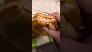 BurgerFi Burger and Fried Chicken Sandwich Review [upl. by Lewls]