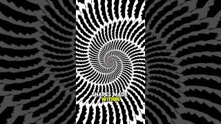 CRAZY ILLUSION  HYPNOTISE YOUR EYES AND WATCH UNTIL THE END crazyillusion illusion [upl. by Leiruh]