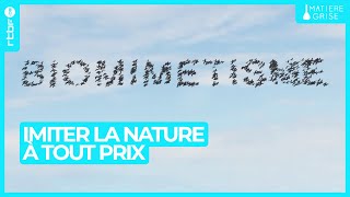 Biomimétisme ou imiter la nature à tout prix ⌚  Matière Grise [upl. by Onra648]