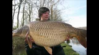 Top 10 Biggest Carp in the World [upl. by Dukie]