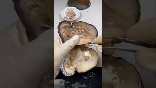 How we get pearls from clam jinsperle pearl satisfying shorts [upl. by Berkeley51]