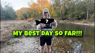 One of my CRAZIEST DAYS of CREEK FISHING [upl. by Hylton674]