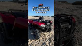 Quadriciclo 4x4 Honda TRX 420 é irado [upl. by Ainessej174]