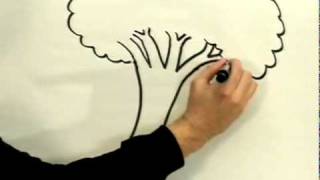 How to Draw a Cartoon Tree Cartoon [upl. by Ciardap]