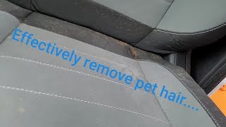 Effectively Remove Pet Hair from Car Seats Its that easy [upl. by Enasus]