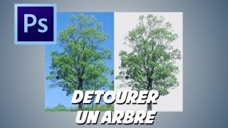 photoshop détourer un arbre [upl. by Bergren419]