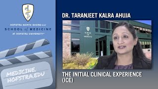 The Initial Clinical Experience ICE [upl. by Areek569]