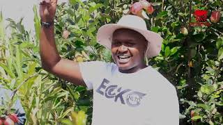 Mugambo Farm Tour at Wambugu Apples Farm in Laikipia [upl. by Amihsat745]