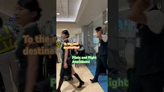 Pilots and Flights Attendants shorts short youtubeshorts youtube philippines usa beautiful [upl. by Nerag]