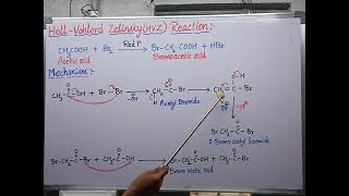 Hell Vohlord Zelinsky HVZ reaction with mechanism [upl. by Akilak107]