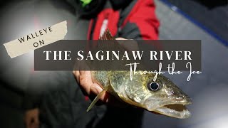 SAGINAW RIVER ICE FISHING WALLEYE [upl. by Raynold460]