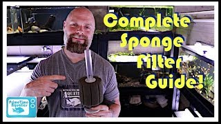 Fish Tank Sponge Filters Everything You Need to Know Assembly  Placement  Flow and More [upl. by Page752]