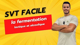 la fermentation lactique et alcoolique [upl. by Gaut10]