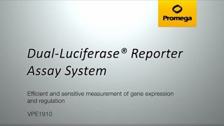 DualLuciferase® Reporter Assay System [upl. by Stauder567]