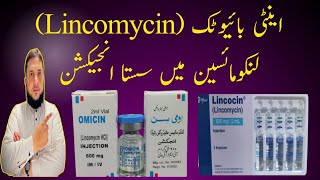 Low Cost Lincomycin injection  Juniad Arshad 786 [upl. by Gibbs]