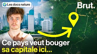 Une capitale futuriste géante… en pleine forêt [upl. by Lesde]