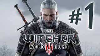 The Witcher 3 Wild Hunt  Parte 1 Geralt de Rivia  Playstation 4  Playthrough PTBR [upl. by Melleta533]