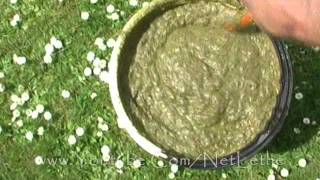 Instant Organic Liquid Compost DIY [upl. by Mezoff957]