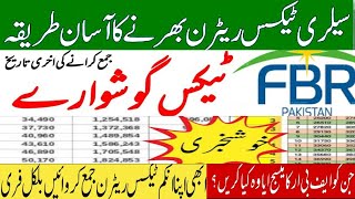 Extensions in filling of FBR tax return  How to File Your Taxes This Year 202425 [upl. by Noreik]