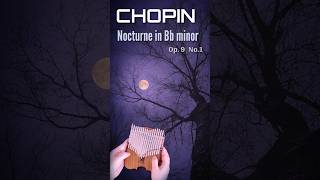 쇼팽  Nocturne Bflat minor Op9 No1 [upl. by Josey]