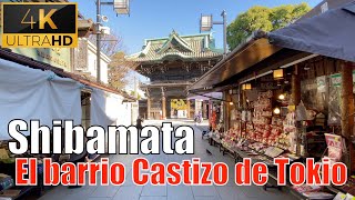 Shibamata el barrio castizo de Tokio  KoKoRo TV [upl. by Eyahc329]