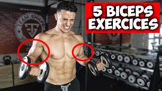 Des bras plus gros en 30jours  5 exercices biceps [upl. by Rubbico]