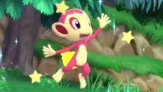 LIVE Shiny Chimchar in Pokemon Brilliant Diamond after 9851 SRs  4 uncatchable Starly [upl. by Veneaux]