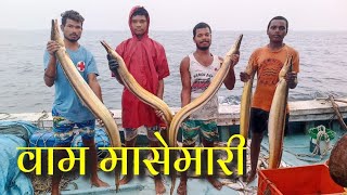 10 दिवस समुद्रात राहून केली वाम मासेमारी Deep sea vam fishing Mumbai India fishing [upl. by Vina155]