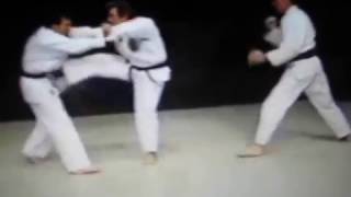 Kusanku kata Bunkai Isshinryū Karate [upl. by Nedearb]