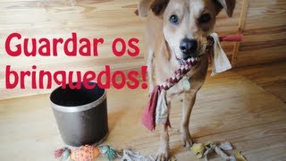 Como ensinar seu cachorro a guardar os brinquedos  Adestramento Positivo  Dog Training [upl. by Audrey]