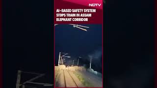 Assam News  AIBased Safety System Stops Train In Assam Elephant Corridor As Herd Crosses Tracks [upl. by Saxela]