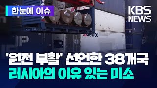 한눈에 이슈 원전 부활 선언한 38개국…러시아의 이유 있는 미소  KBS 20240326 [upl. by Adolpho]