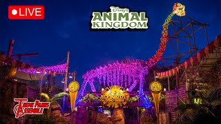 LIVE Afternoon  Animal Kingdom Holidays Are Here  111324 [upl. by Nero]