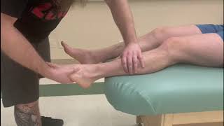 Manual Muscle Test and Lengthening  Fibularis Longus amp Brevis Lateral Compartment of the Leg [upl. by Katrine]