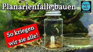 Planarienfalle selber bauen  DIY Projekt zur Bekämpfung von Planarien im Aquarium [upl. by Osgood967]