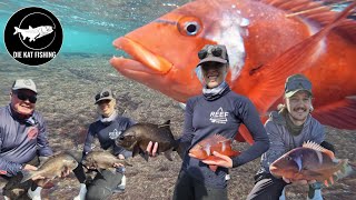 Fishing adventure in Still Bay enjoying life in a small town in South Africa [upl. by Gile]