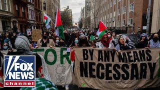 Fox amp Friends reveals groups funding behind antiIsrael protests [upl. by Elrae]