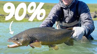 90 of Fly Fishing Trout in 15 minutes [upl. by Darees]