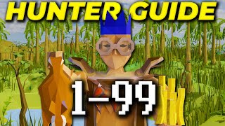 A Complete 199 Hunter Guide 2024 OSRS [upl. by Elad790]