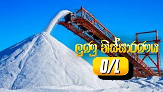 Salt Extraction  ලුණු නිස්සාරණය  OL Grade 11 Science Lunu Nissaranaya  මිශ්‍රණ [upl. by Reniar]