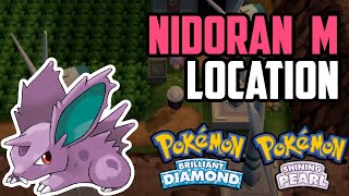 How to Catch Nidoran♂  Pokémon Brilliant Diamond amp Shining Pearl [upl. by Cornie664]