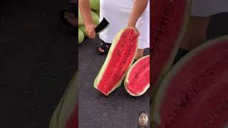 I LOVE THIS WATERMELON 🍉🍉🍉 shortvideo fruitcarving fruitcuting shotrs short watermelon [upl. by Cyndi]