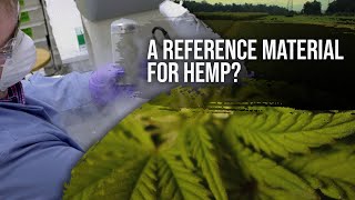 Hemp Reference Material to Support Accurate Cannabis Measurements [upl. by Merce]