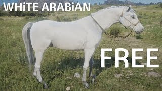 Red Dead Redemption 2 How To Find amp Catch White Arabian Horse Walkthrough Guide Lake Isabella [upl. by Gable420]