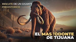 Cronos El mastodonte de Tijuana rescate de un gigante prehistórico [upl. by Edmondo561]