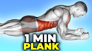 What Happens When You Do a 1Minute Plank Every Day [upl. by Arim]